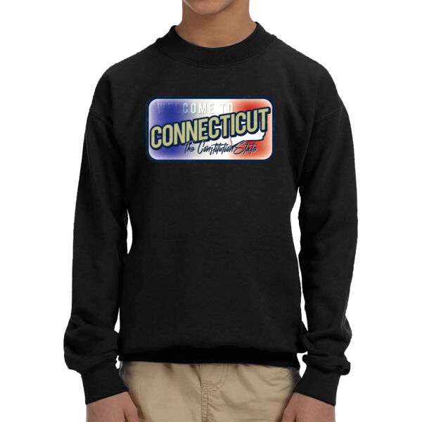Connecticut - Youth Fleece Crew Sweatshirt Thumbnail